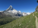 14. August 2016 Schönbiel-Trift-Zermatt