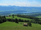 Sicht über den Obersee vom Chrineberg