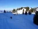 Rigi-Panoramaweg vom 11.02.2023